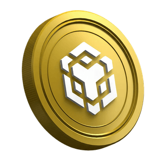 Binance BNB cryptocurrency coin displayed on a new trader guide page
